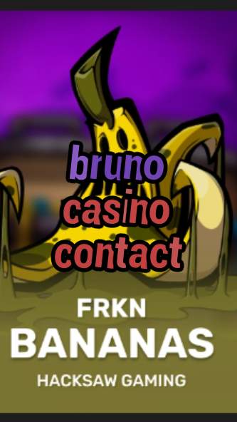 bruno casino contact-3xn3u5udepyz9m9w5iat.com